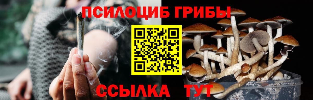 Галлюциногенные грибы GOLDEN TEACHER  закладки  Новороссийск  Вход с VPN 