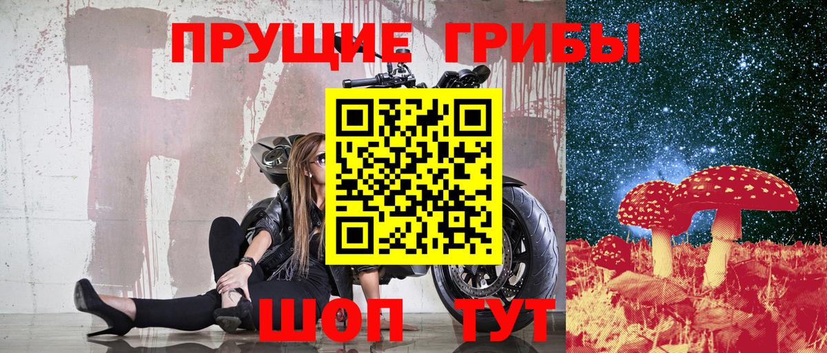 Галлюциногенные грибы прущие грибы Новороссийск